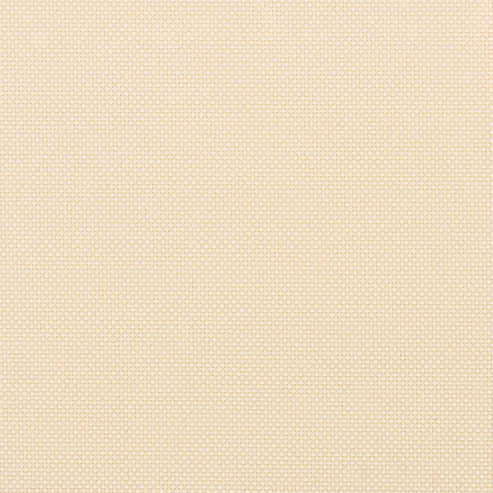 Outdoor Dining Chairs (Set of 2)