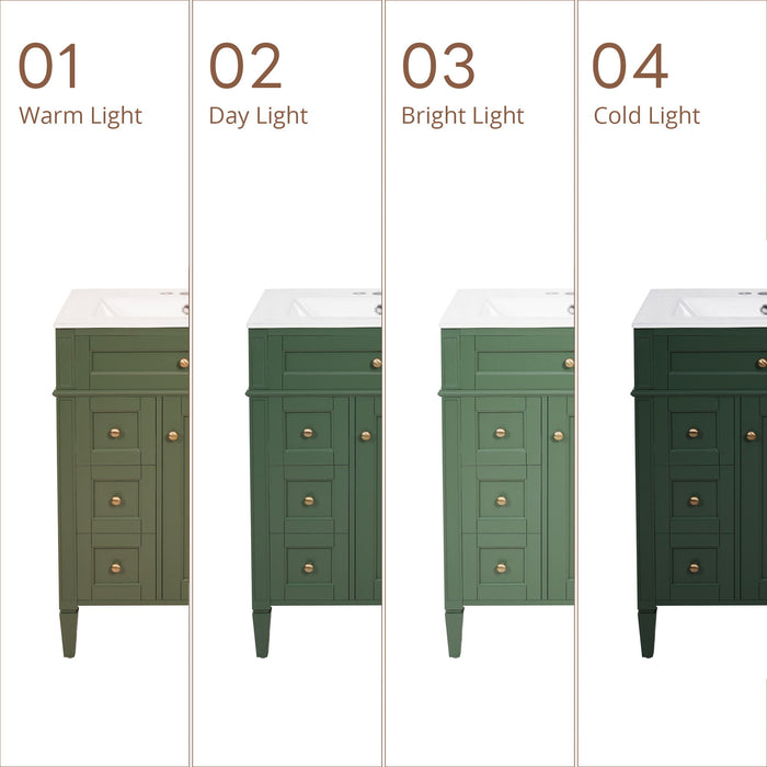 Bathroom Vanity With Top Sink, Storage Cabinet With 2 Drawers And Tip-Out Drawer