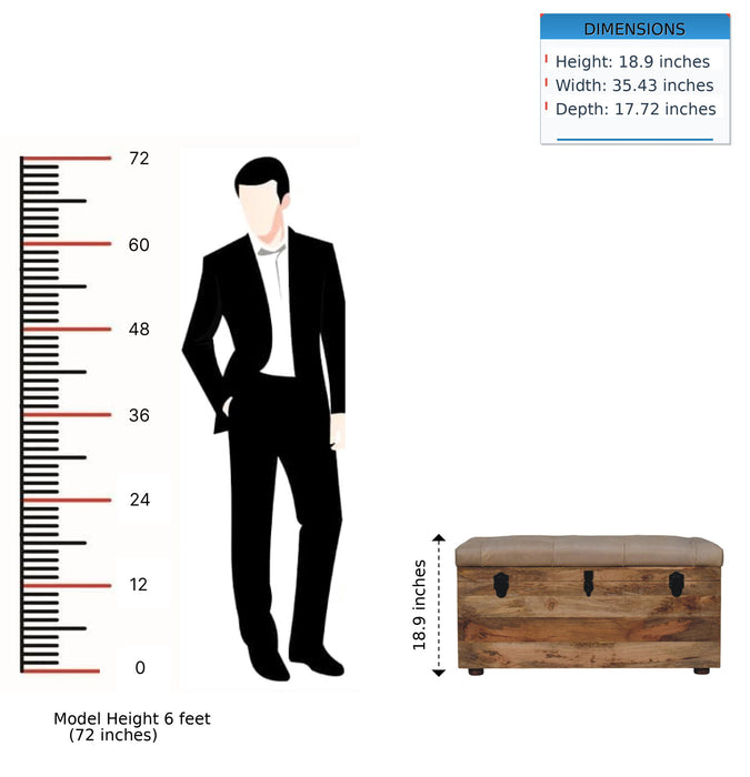 Buffalo - Leather Storage Trunk