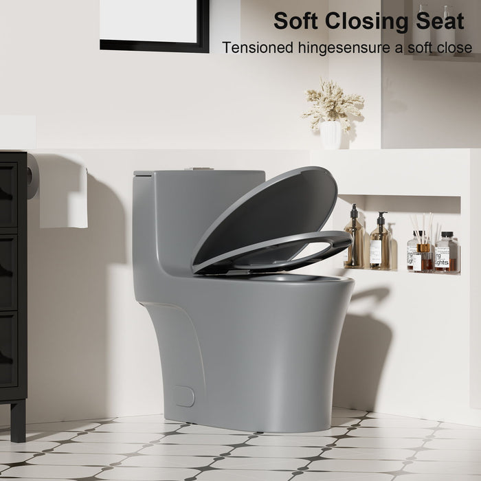 1 Piece Toilet With Dual Flush And Soft Closing Seat
