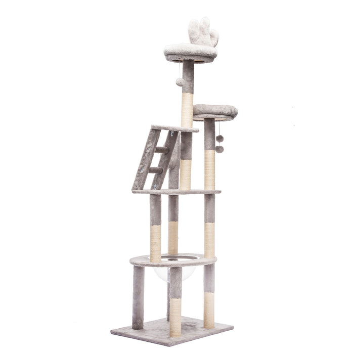 Cactus Cat Tree With Transparent Capsule, Sisal Scratching Posts - Gray