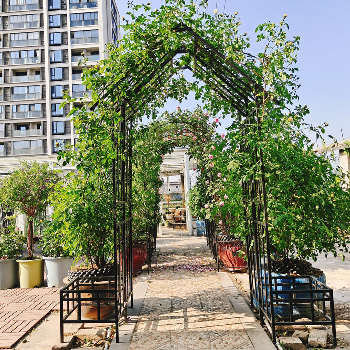Garden Arch With Adjustable & Climbing Plants Support - Black