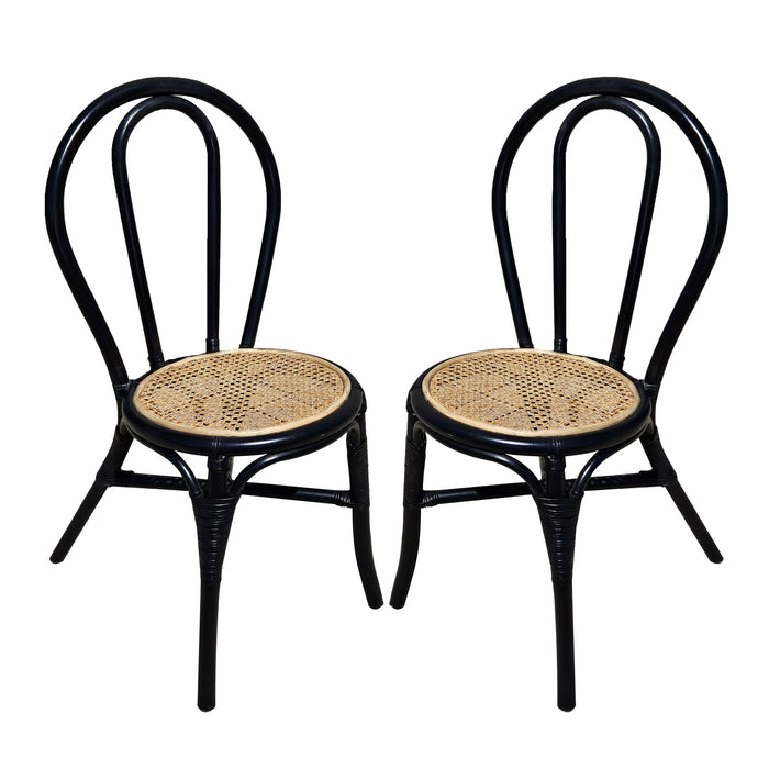Rattan Dining Chair (Set of 2) - Black Multi