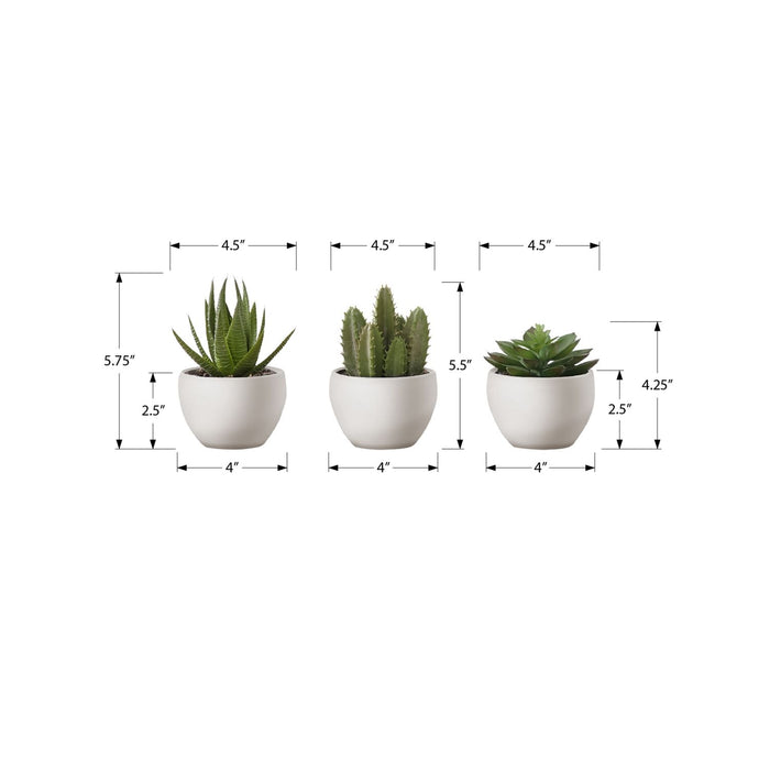 Artificial Succulent Plants (Set of 3)