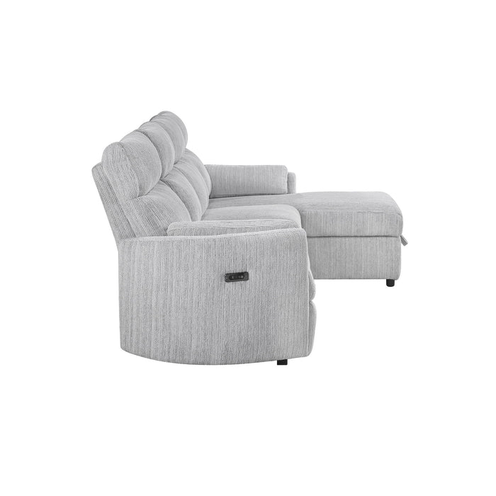 Sleeper Sofa With Storage Chaise - Gray