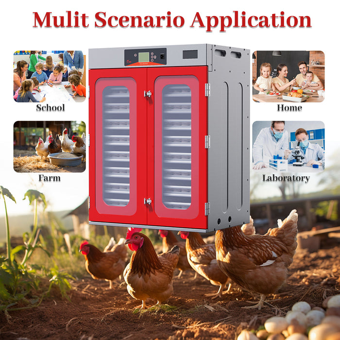 Commercial Egg Digital Cabinet Incubator With Auto Temperature & Humidity Control