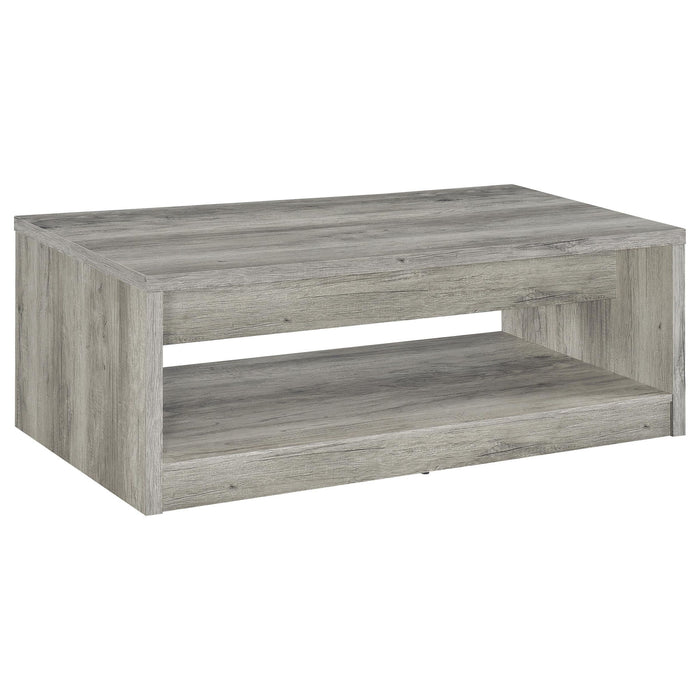 Nuberg - 2 Drawer Coffee Table Rectangular Design - Gray