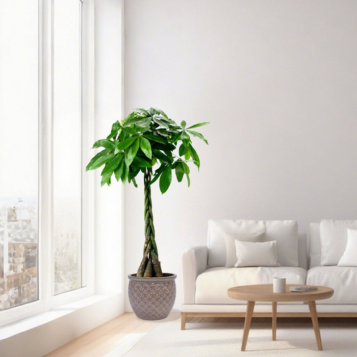 3 Pieces Ceramic Flowerpot, Planter For Patio & Garden Or Windowsills - Antique Yellow