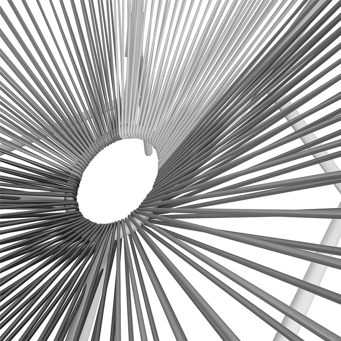 Indoor / Outdoor Lounge Chair (Set of 2) - Dark Gray