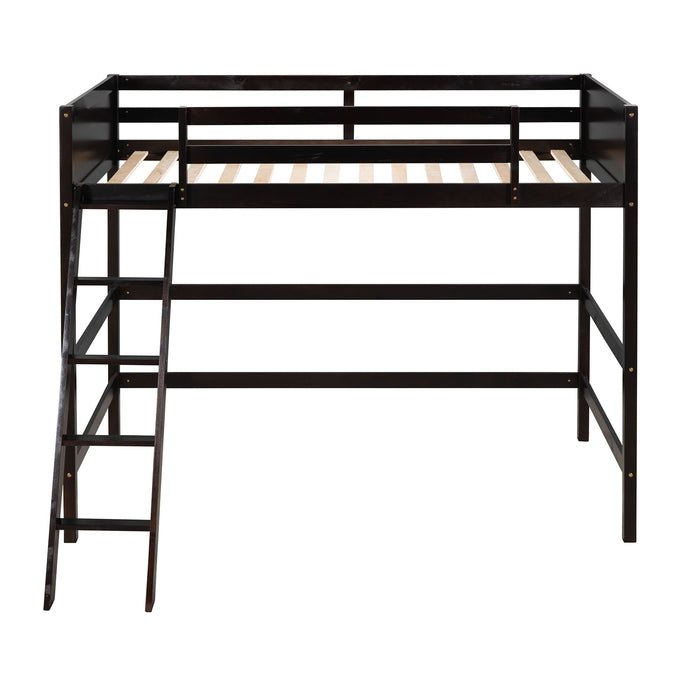 Loft Bed With Ladder