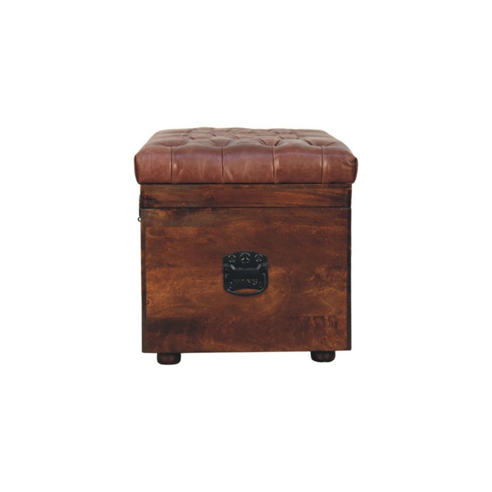 Buffalo - Storage Trunk