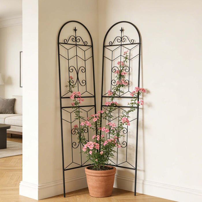 Garden Trellis, Rustproof Support For Climbing Plants
