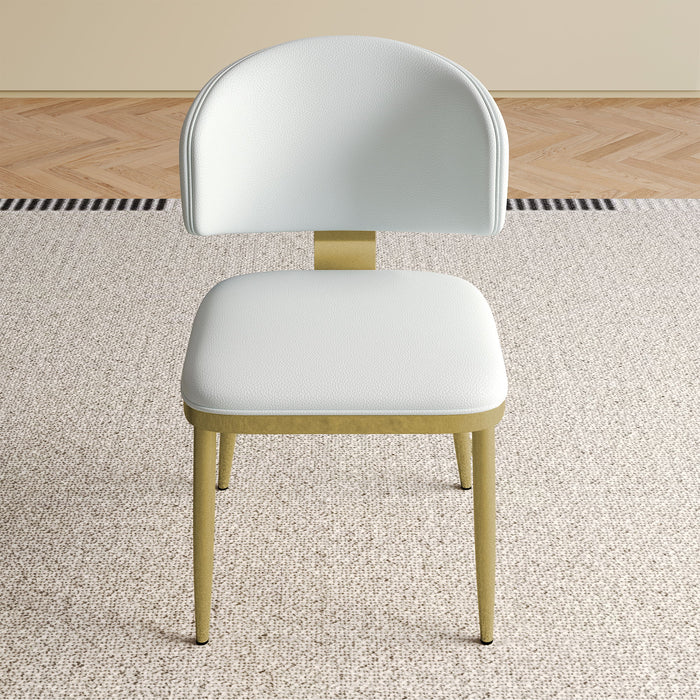 Modern Dining Chairs For Kitchen (Set of 2)