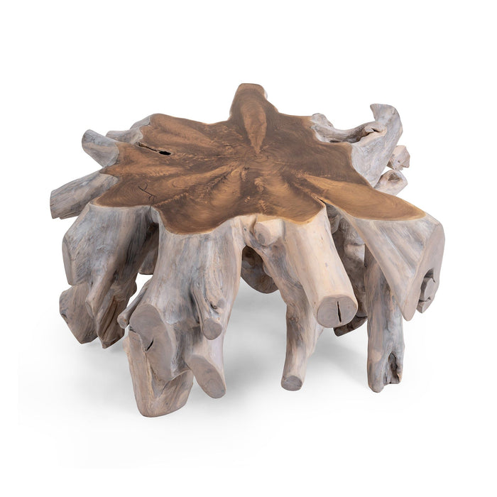 Cypress - Root Coffee Table - Natural White Wash