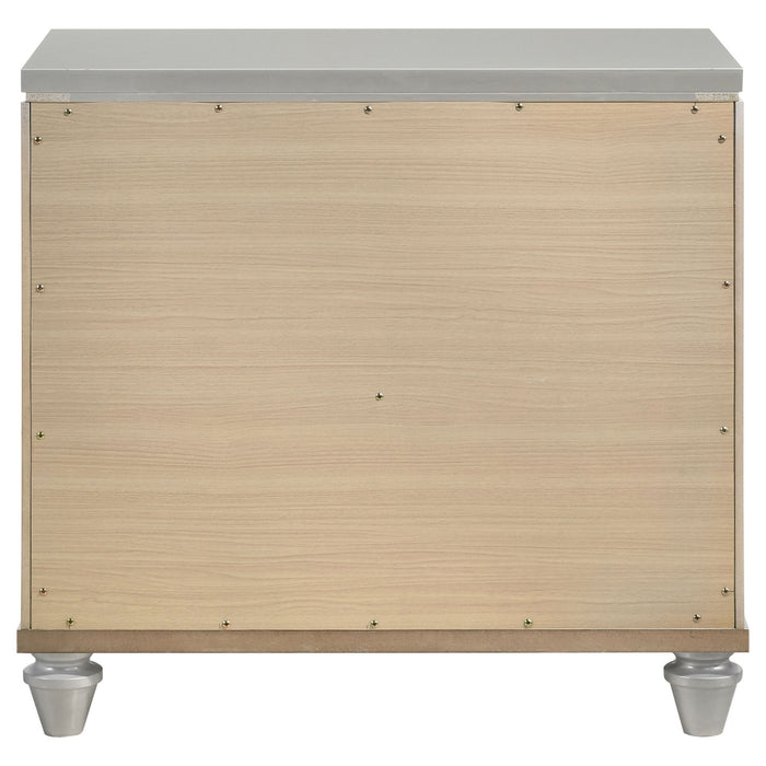 Delacroix - 2 Drawer Nightstand With Felt Lined Top Drawer - Silver