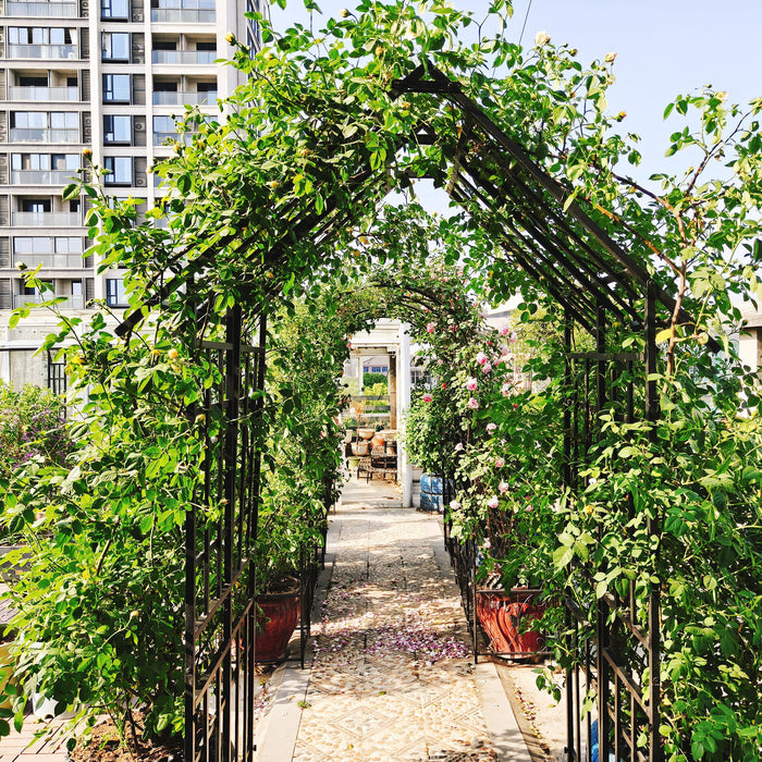 Garden Arch With Gate Climbing Plants Support Outdoor - Black