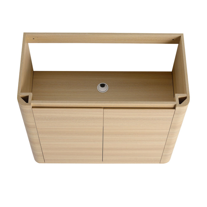 Freestanding Bathroom Vanity With Sink & 2 Soft Close Doors