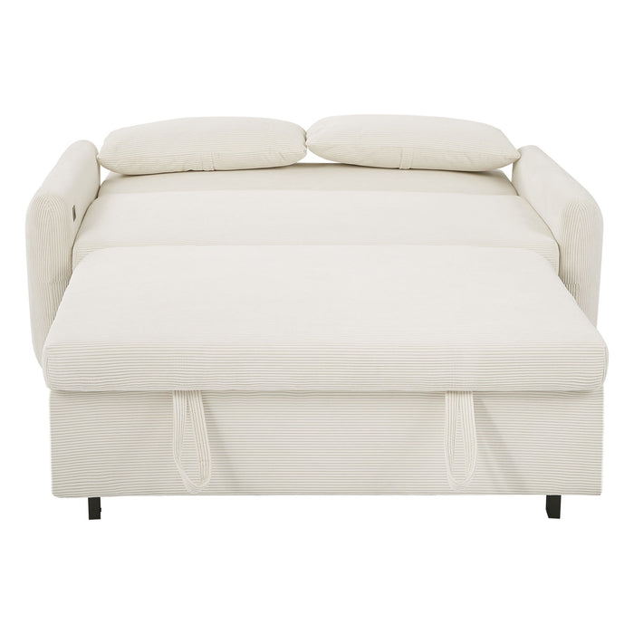 Pull-Out 2 Seat Modern Sleeper Sofa With 2 Throw Pillows And USB Ports