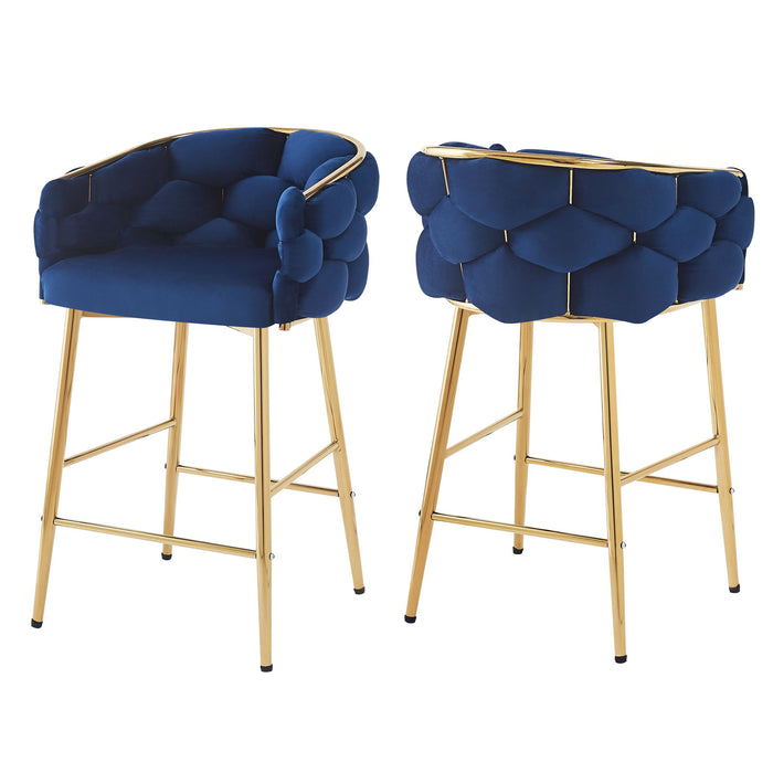 Modern Counter Stools (Set of 2)