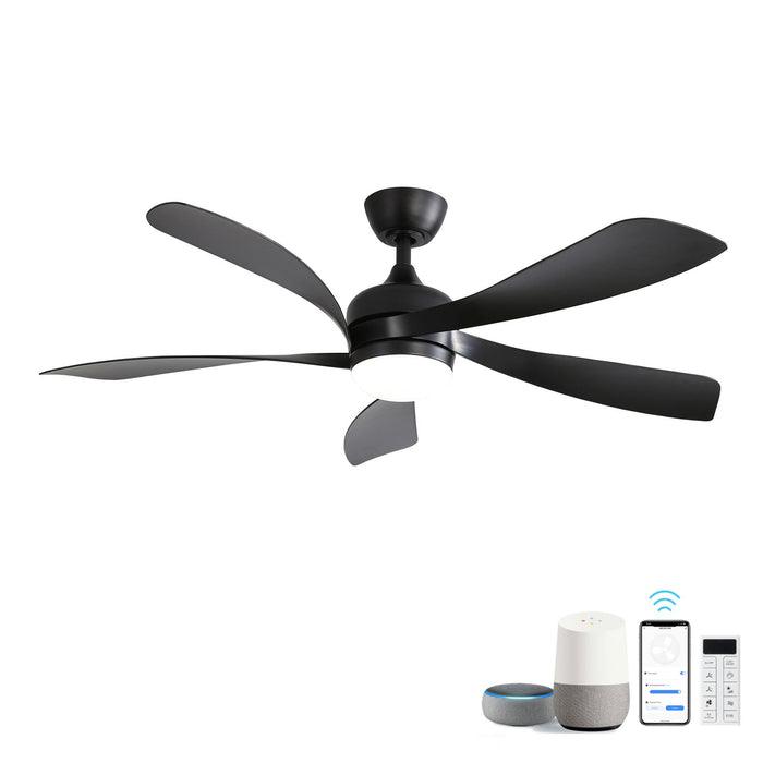 Ceiling Fan & DC Motor And Integrated Light