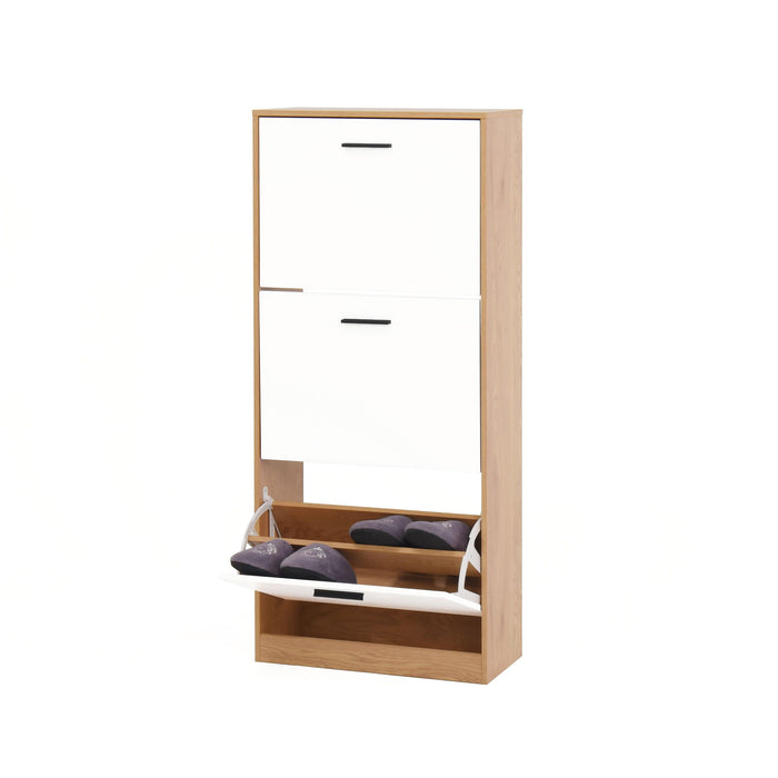 Modern Freestanding Shoe Storage Cabinet With 3 Flip Drawers
