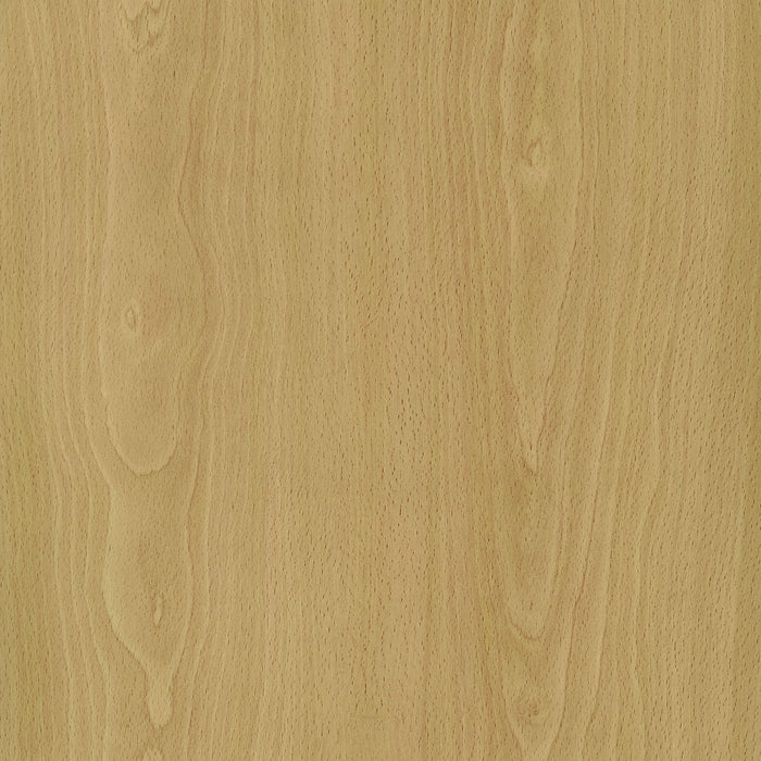 Gabby - 4 Panel Divider Folding Shoji Screen With Windowpane Details - Natural