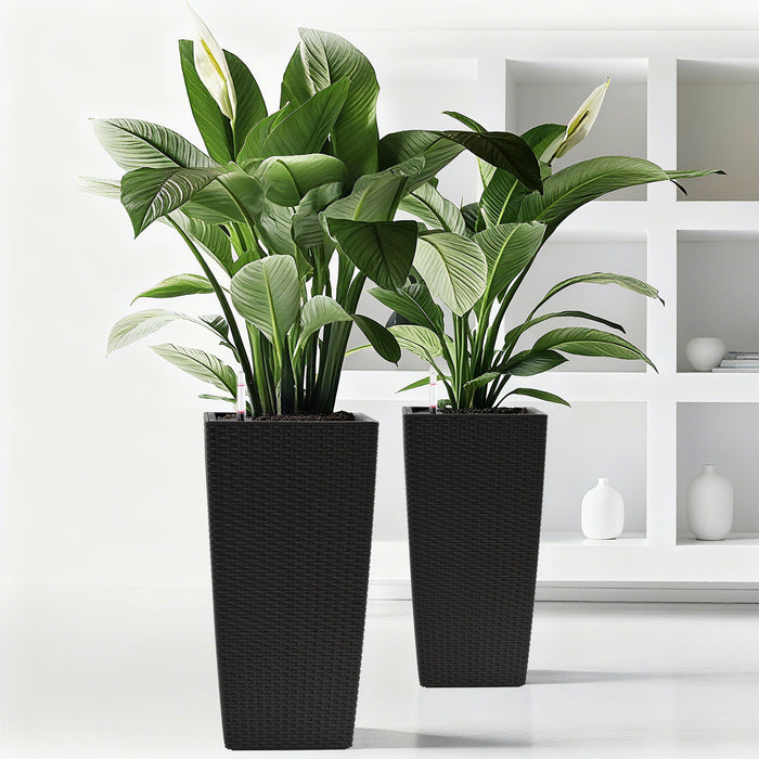 Indoor Outdoor Planter With Automatic Watering System