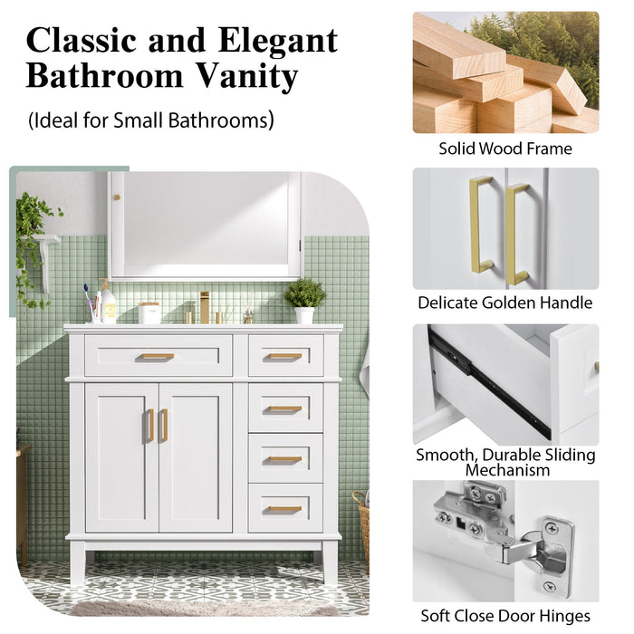 Modern Bathroom Vanity With Ceramic Sink, Soft Close Storage Cabinet