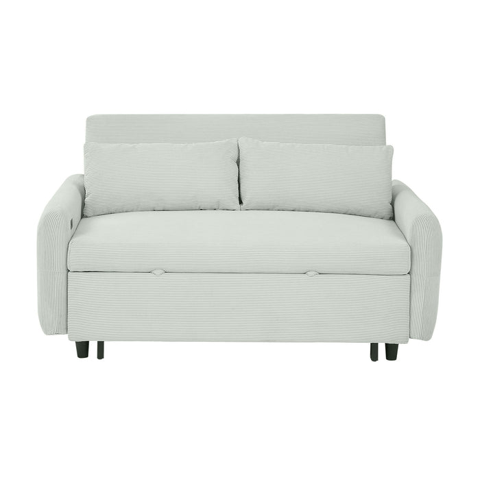 Pull-Out 2 Seat Modern Sleeper Sofa With 2 Throw Pillows And USB Ports