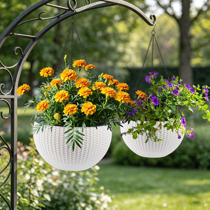Self Watering Hanging Planter
