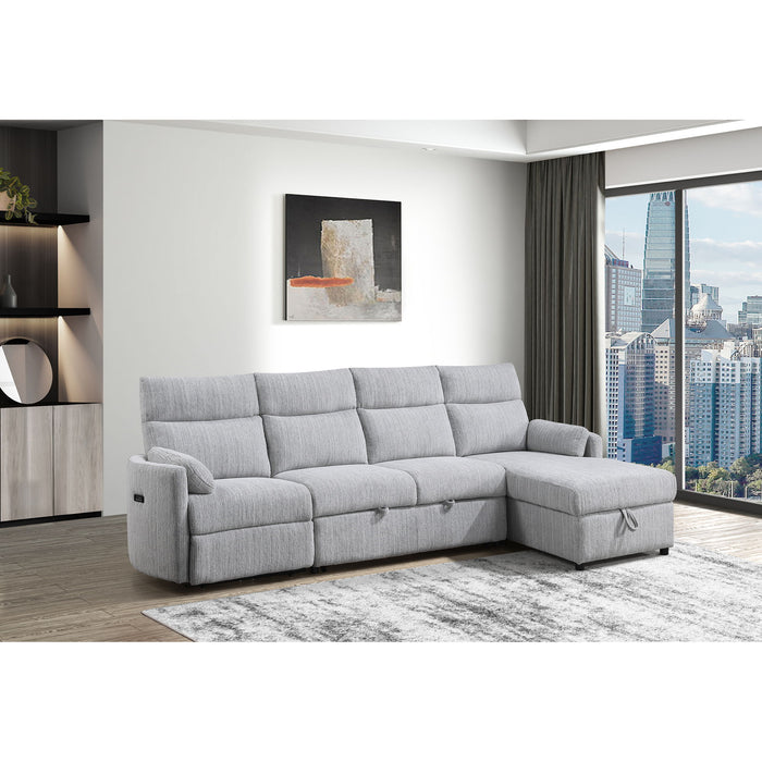 Sleeper Sofa With Storage Chaise - Gray