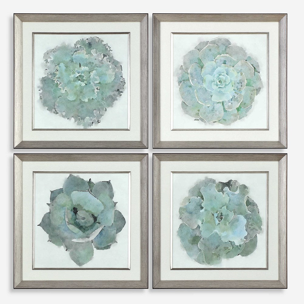 NATURAL BEAUTIES FRAMED PRINTS, S/4