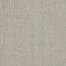A1001096T