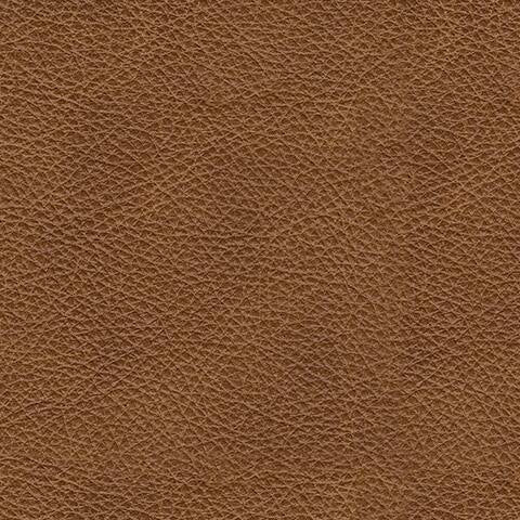 Carianna Loveseat