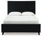 B1013/13/54/57/95 : B1013B2