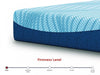 M20521