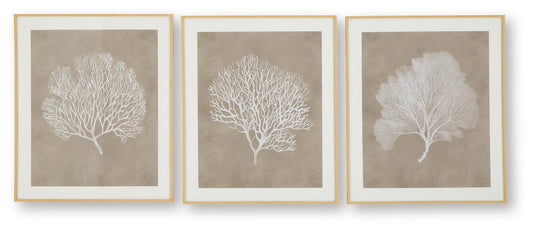 Ashley Express - Hendridge Wall Art Set (3/CN)