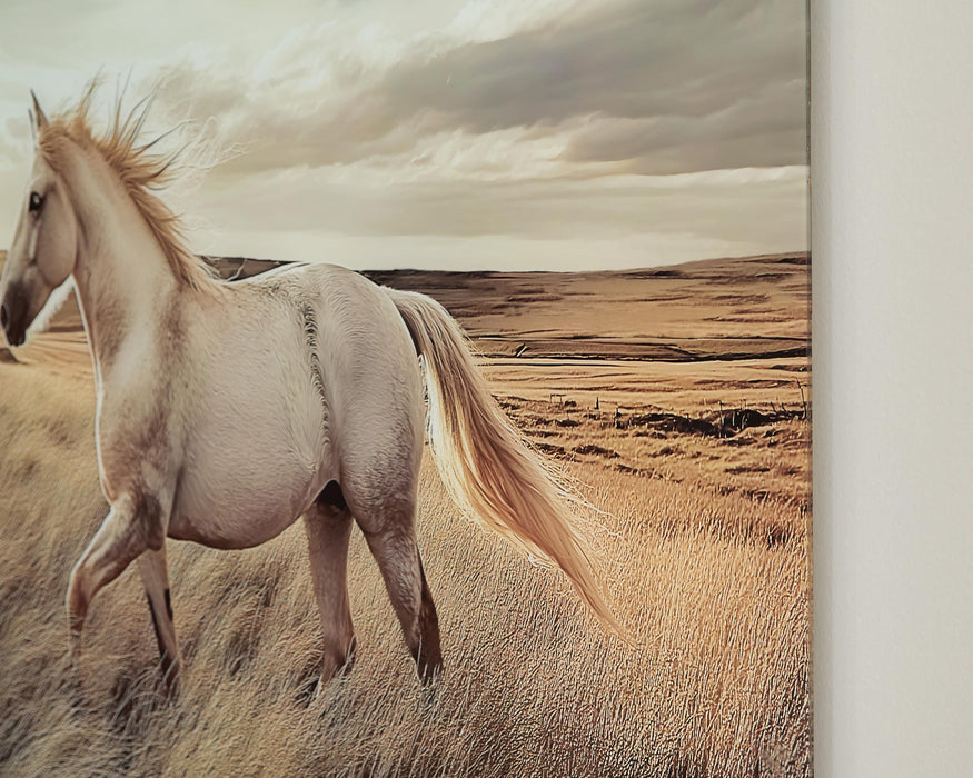 Ashley Express - Errolville Wall Art