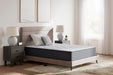 M42141