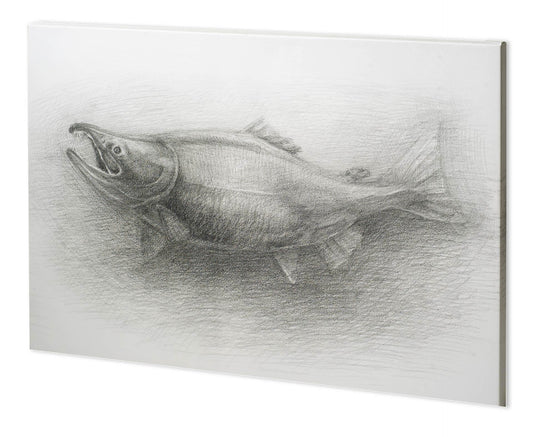 Salmon I (52 x 38)