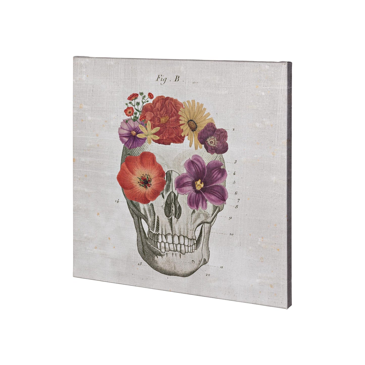 Floral Skull II (30 x 30)