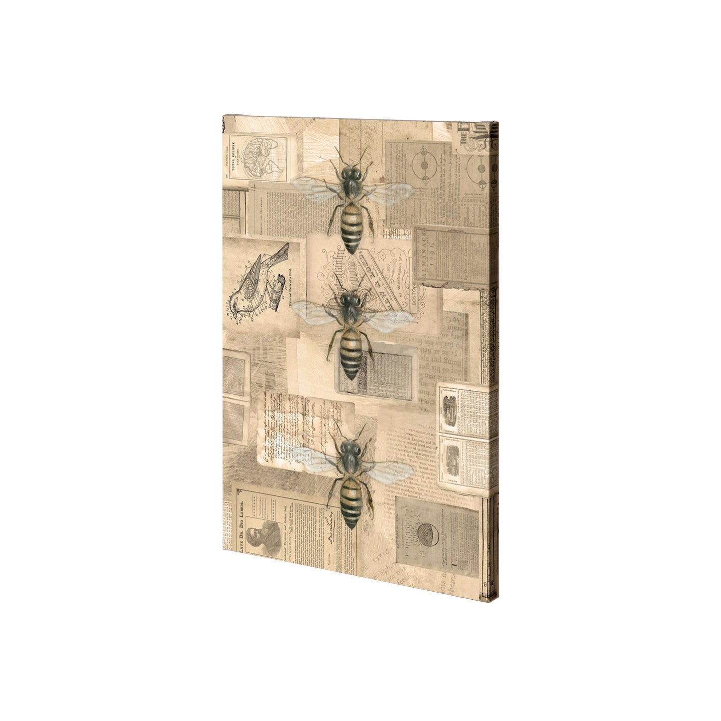 Academic Bee Illustration (28 x 42)