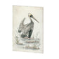 Brown Pelican (36 x 48)