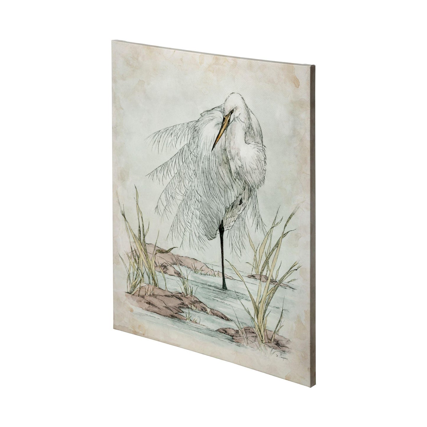 White Egret (36 x 48)