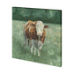 Hereford Cattle II (41 x 41)