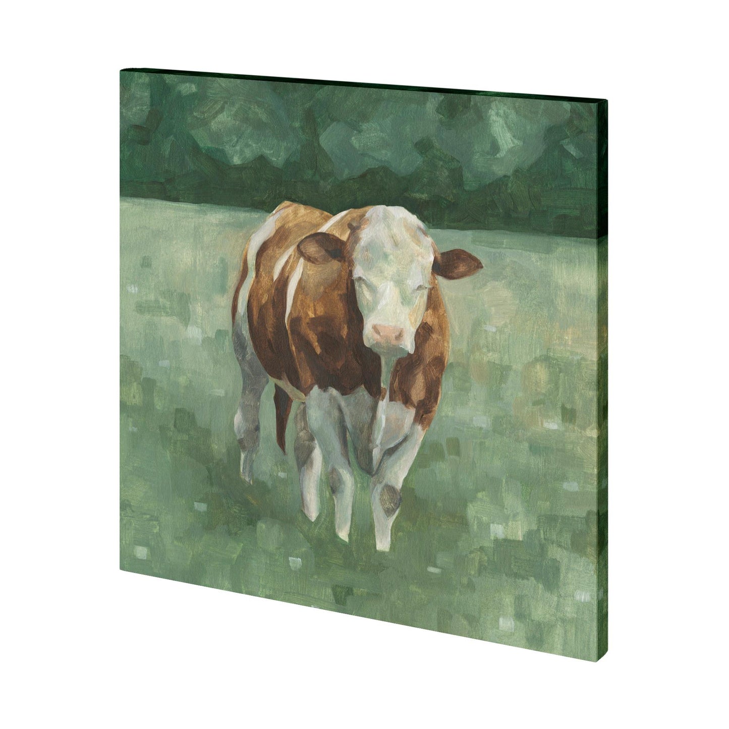 Hereford Cattle II (30 x 30)