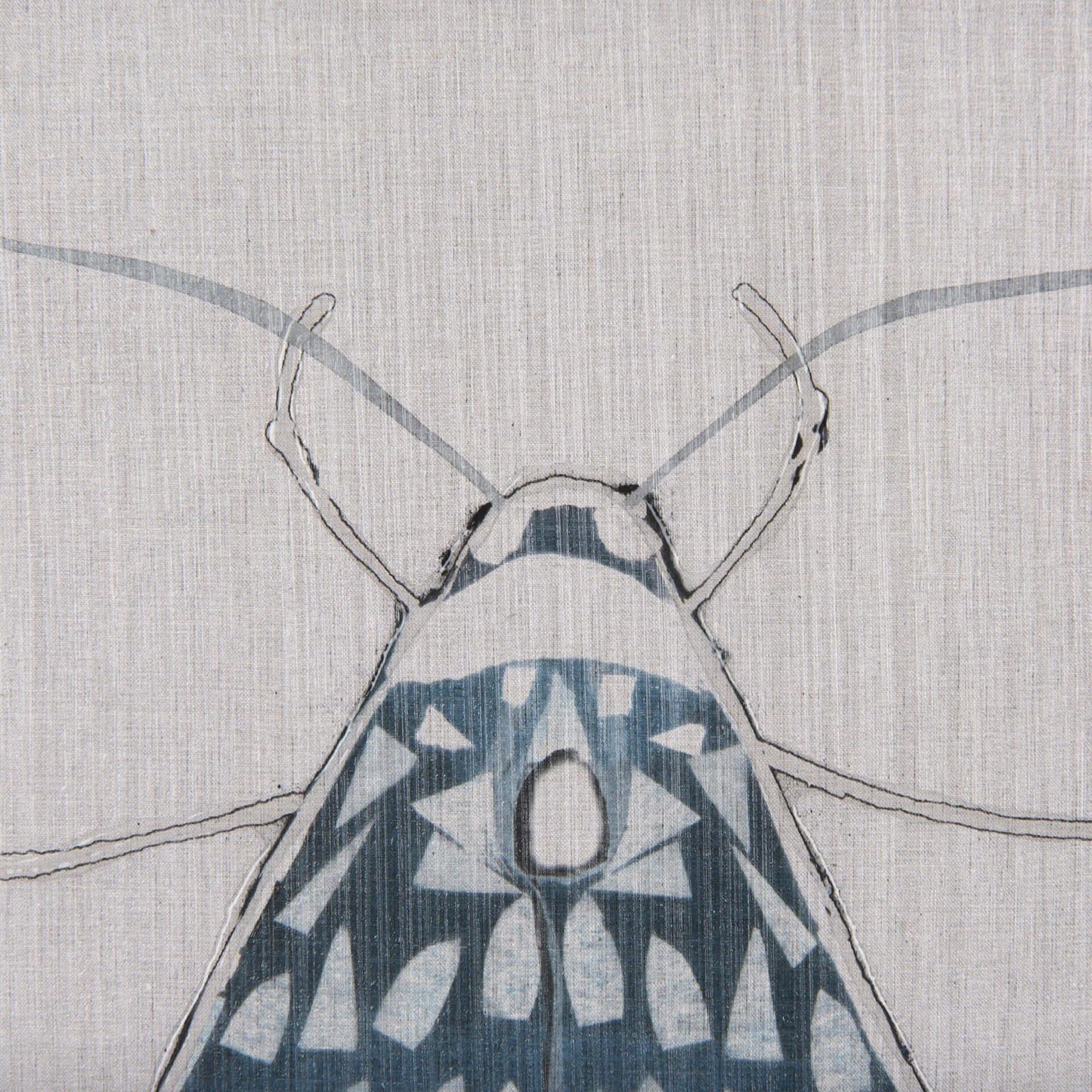 Moth Blue I