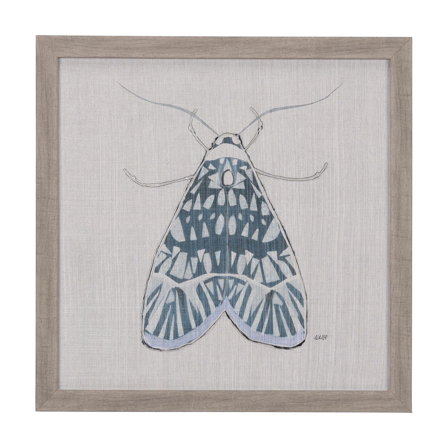 Moth Blue I