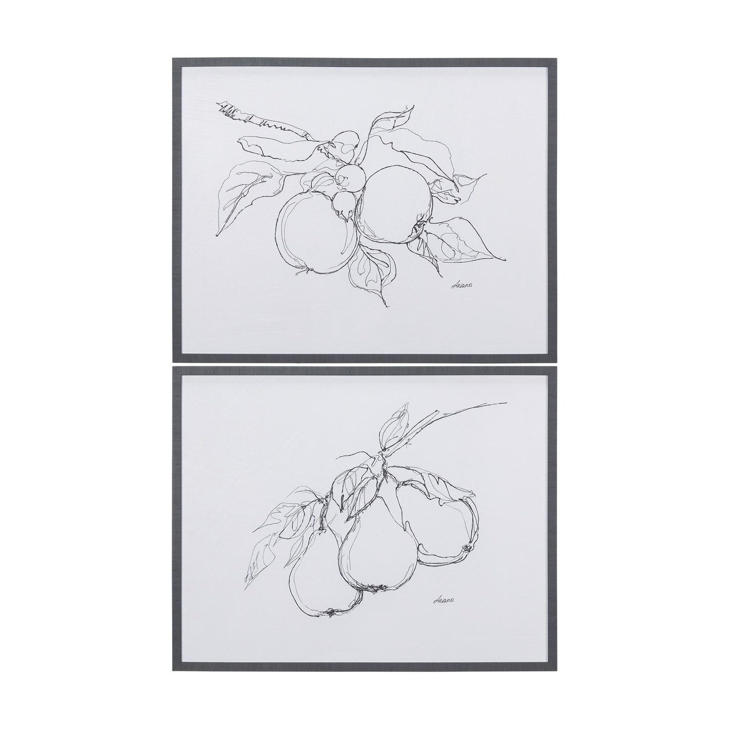 Fruit Sketch Pear