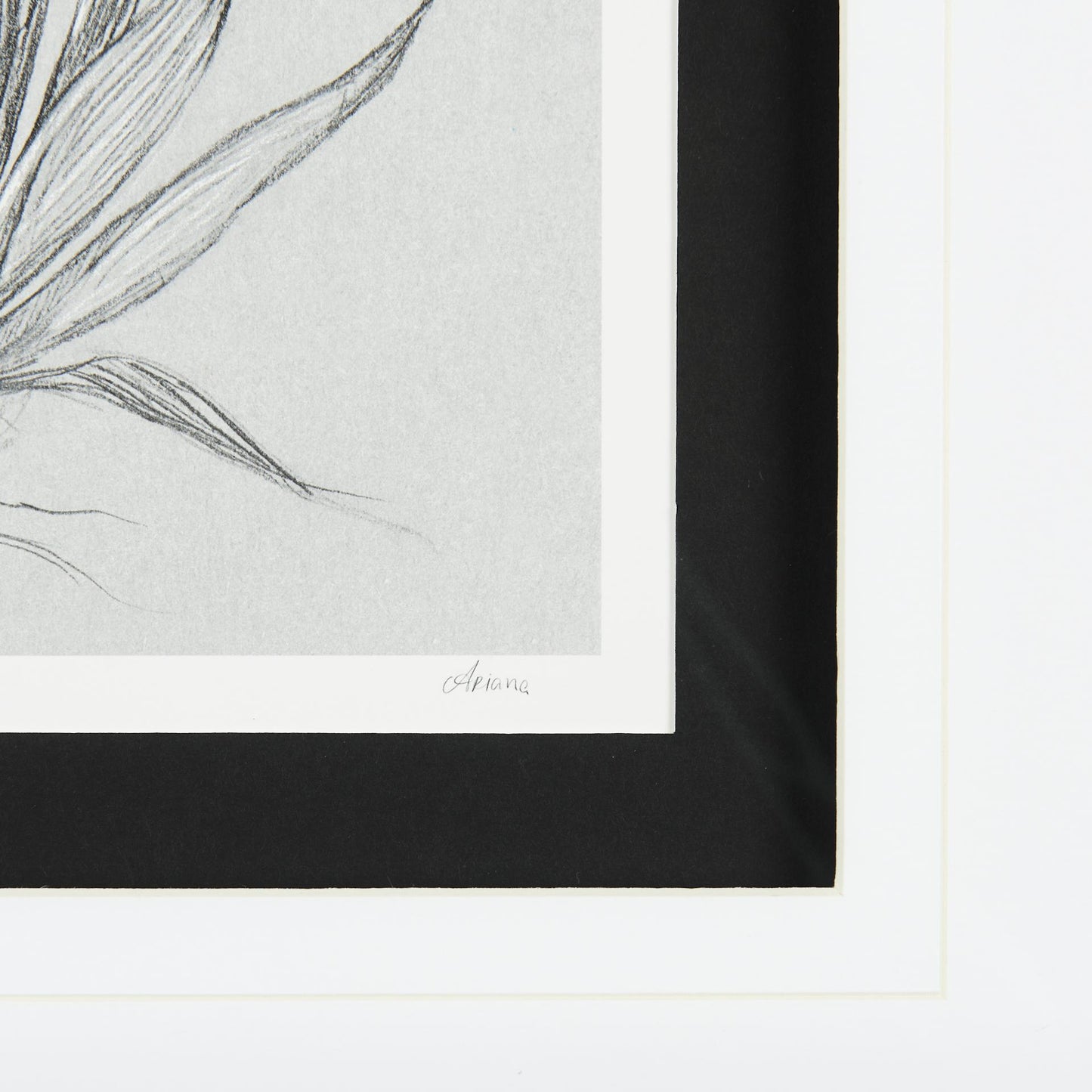 Botanical Sketches IV (Grey)
